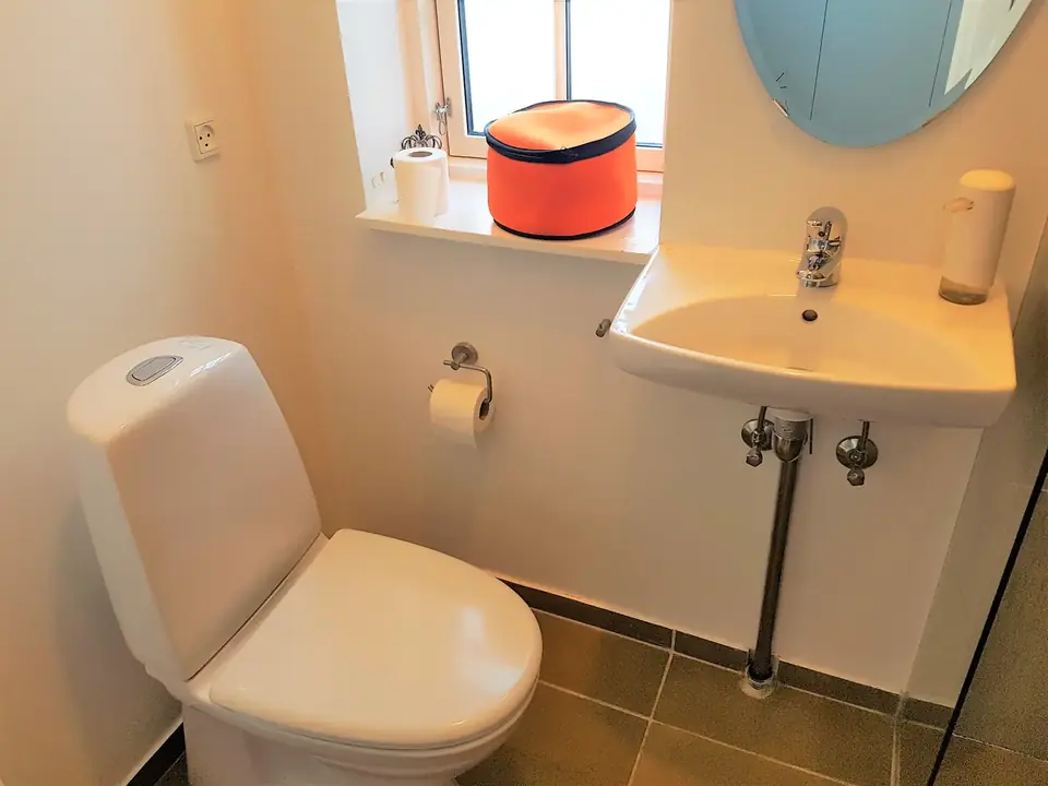 Håndvask og toilet ved vinduet