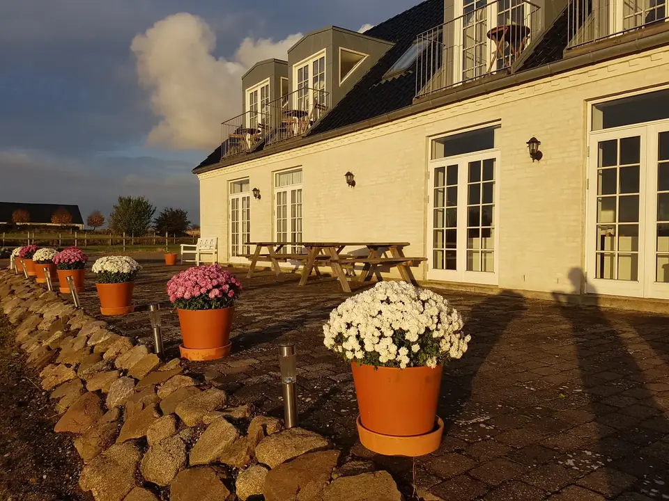 Terrasse med blomster og aftensol